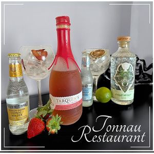 Lots of Gin options at Tonnau Restaurant in Criccieth