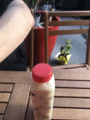 Soursop   at Food For Negus in Brooklyn