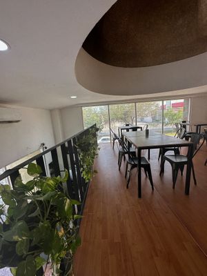  at Santa Semilla in Torreon