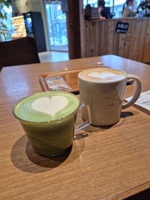  at Drip & Drop Coffee Supply in Toyooka