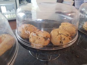 Fruit scones (vg) at Lighthouse Café in South Shields