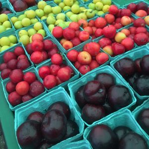 fresh fruit  at Central Park Plaza Market in Valparaiso