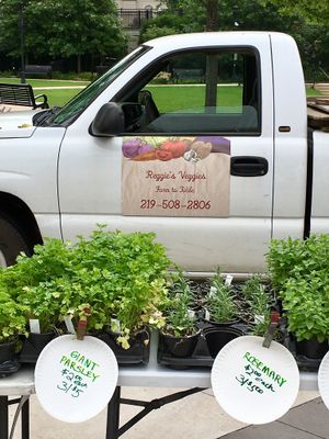 Veggie garden plants for sale at Central Park Plaza Market in Valparaiso