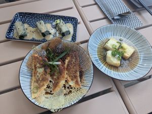 Gyoza Vegan, Agedashi Tofu and Blanched spinach with sesame dressing at KAIYō in Hamburg