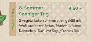 Beschreibung der Sommerrolle  at Cobami in Darmstadt