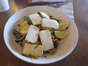 Glow bowl with tofu at Flower Child in Tucson