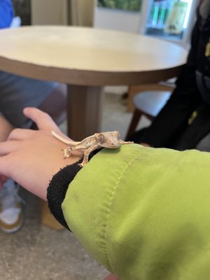 The cafe mascot    at Cafe ohh good thing - 오굳띵 in Busan