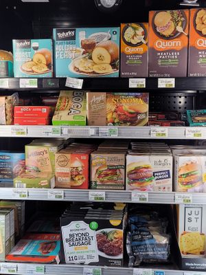 Vegan Freezer  at Country Aire Market in Port Angeles