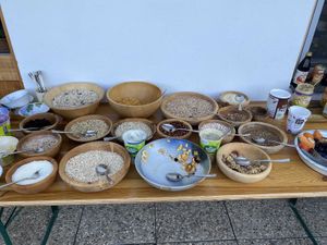   at Naturhaus Lehnwieser in Ramsau Am Dachstein