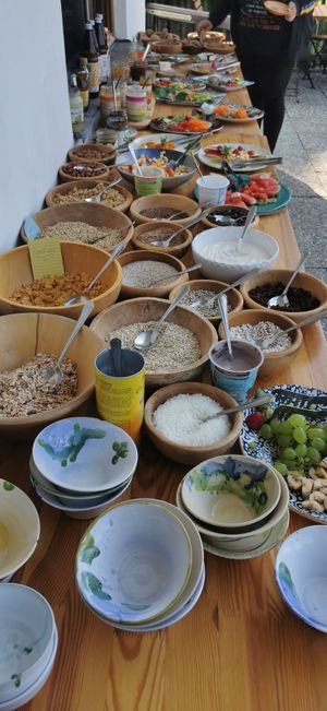  at Naturhaus Lehnwieser in Ramsau Am Dachstein