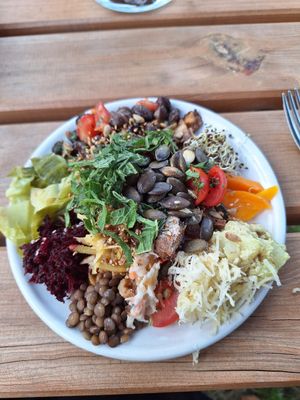  at Naturhaus Lehnwieser in Ramsau Am Dachstein