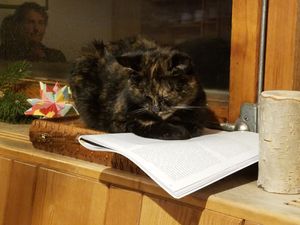 Pets everywhere😍 at Naturhaus Lehnwieser in Ramsau Am Dachstein