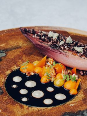 Radicchio at Restaurant Zoe in Bern