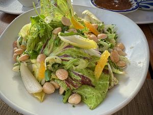 Shaved fennel saladd   at Beach Tree Bar and Lounge in Kailua Kona