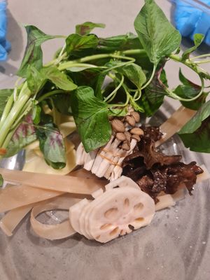 Fresh veges ~26/4/23 at Ascend Vegetarian 蔬升 in Central Singapore