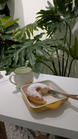 Matcha and original donut at Plant Light Vegan - 植光圈 in Taichung