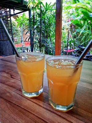 Kombucha with ginger at Compound's Warung - In Da Compound Warung in Gianyar