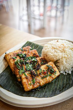 Sticky Thai basil chili tofu and coconut rice at Mak Mak Organic  in Oceanside