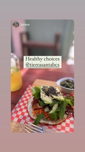  at Tierra Santa BCS - Collaborative Coffee Shop in Todos Santos