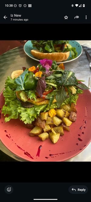 The delicious vegan sandwich at Soq‘a in Cusco