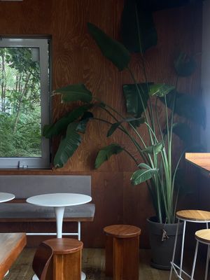   at Lychees in Warsaw