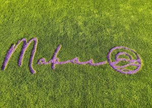  at Makai Cafe in Orihuela