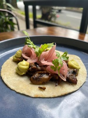  at Ginger Cocina in Medellin