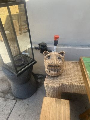  #Veganuary at Casa Nopal & Tiger Club in La Paz