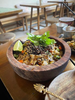  at Casa Nopal & Tiger Club in La Paz