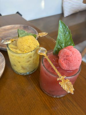  at Casa Nopal & Tiger Club in La Paz