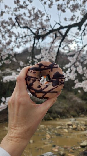 Strawberry chocolate donut at Nukafuku ヌカフク in Hakone