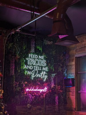 Neon bar sign at Chihuahua's in Reno