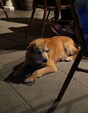   at Cantina Miseria E Nobilta in Amalfi