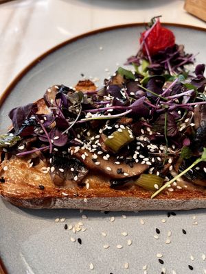 Miso Stulle  at GuMo in Karlsruhe