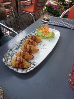 Sunny Dumpling (frittierte Dumplings mit Gemüsefüllung) at Monchi in Leipzig