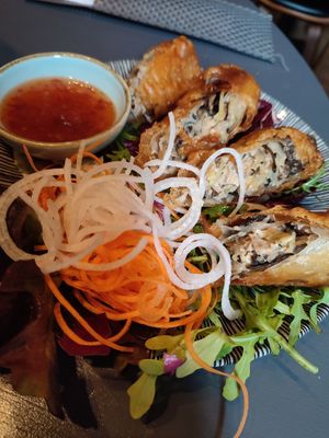 Frittierte Frühlingsrollen (Nr. 11) at Monchi in Leipzig