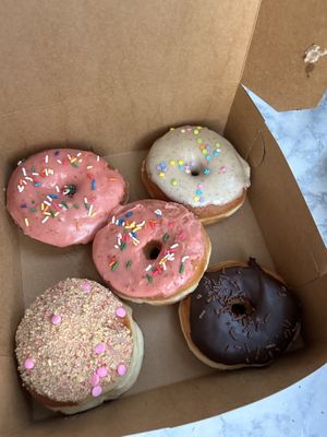   at Bitchin Donuts in Albany