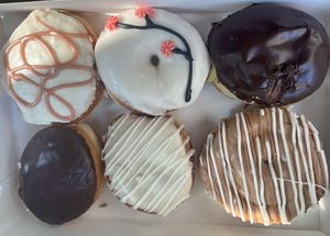   at Bitchin Donuts in Albany