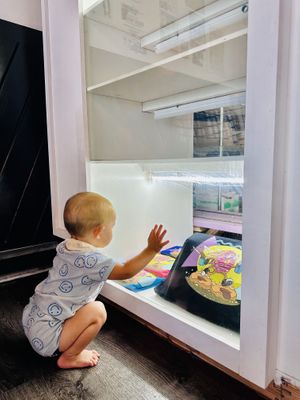   at Bitchin Donuts in Albany