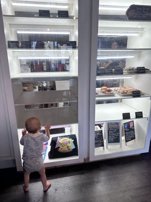   at Bitchin Donuts in Albany