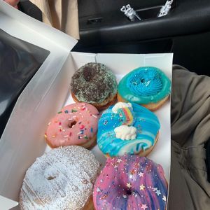   at Bitchin Donuts in Albany