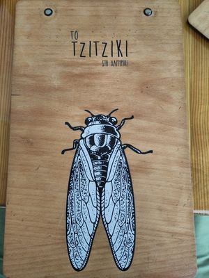 the cicada in the tamarisk tree at To Tzitziki Sto Almiriki in Crete