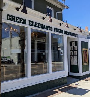  at Green Elephants Thai Vegan in Watkins Glen