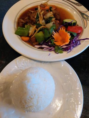 Wonderful tender mock duck seitan at Green Elephants Thai Vegan in Watkins Glen