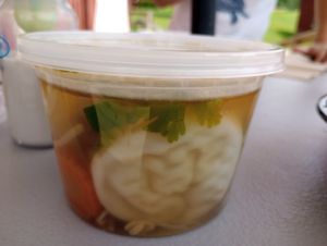 Wonton soup at Green Elephants Thai Vegan in Watkins Glen