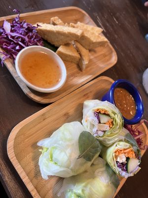 summer rolls & fried tofu   at Green Elephants Thai Vegan in Watkins Glen