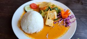  at Green Elephants Thai Vegan in Watkins Glen