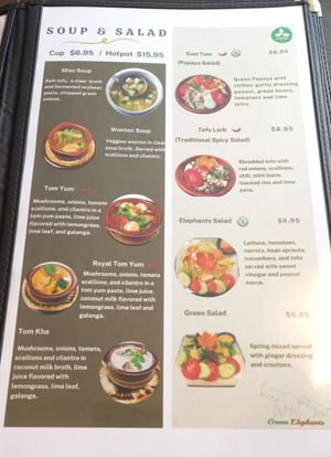 Menu at Green Elephants Thai Vegan in Watkins Glen