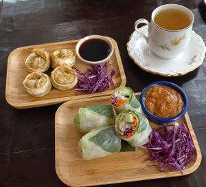Dumpling and rice paper rolls at Green Elephants Thai Vegan in Watkins Glen