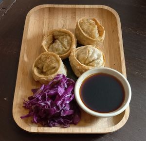 Dumplings at Green Elephants Thai Vegan in Watkins Glen